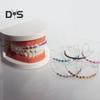 Temporary Tooth Decoration with Metal Wires Brackets Orthodontic Ligatures Orthodontists Explain Dental Students Practice Props