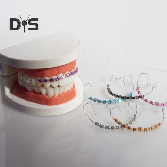 Temporary Tooth Decoration with Metal Wires Brackets Orthodontic Ligatures Orthodontists Explain Dental Students Practice Props