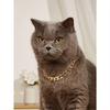 1pc Ins Style Cat/Dog Multipurpose Pet Necklace, Minimalist & Practical
