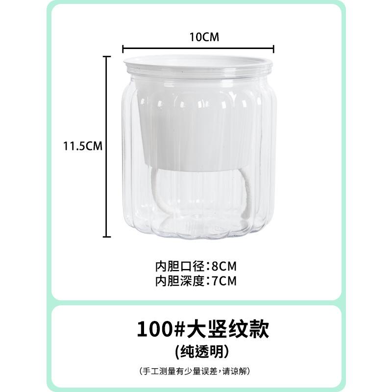 Elegant Self Watering Planter Translucent Stylish Water-saving Desktop Planter for Garden Enthusiast Lover Gift Transparent