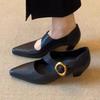 Мода Мода Остроносые Женские Туфли на Среднем Каблуке Элегантные Массивные Неглубокие Сандалии 2025 Осень Новые Тренды Туфли-Лодочки Пряжка Платье Zapatillas