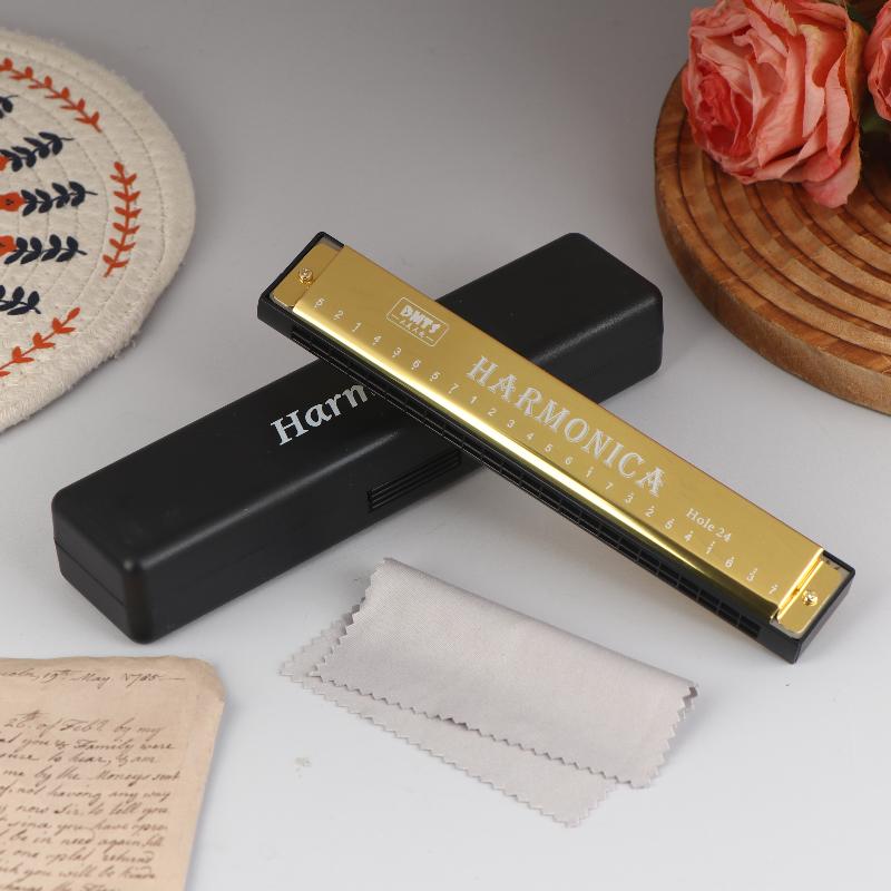 Harmonica Key Of C 24 Hole Diatonic Harmonica C With Case For Beginner Students Kids Gift Blues With Case