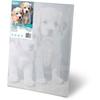 Paint By Number Picture 40X50 Cm Massido Puppies