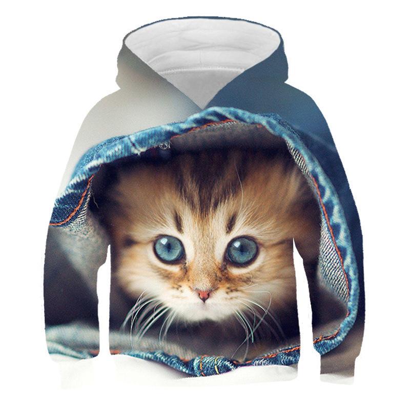 Autumn 3D Cat Pattern Printed Top Fashionable Casual Long Sleeved Children's Boy Hoodies