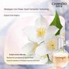 CHANDO Snow Skin Brightening Shower Gel