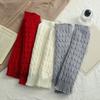 Double-Layered Women Leg Warmers Twist Pattern Ankle Warmer Knitting Leg Warmers  Autumn Winter