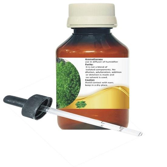 Levenmooi Savory Winter (Montana) (Satureja Montana) Pure & Natural Therapeutic Grade Essential Oil Plastic with Dropper
