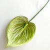 Anthurium Simulated Plants Wedding Hotel Restaurant Decoration Ornament Desktop