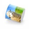 Funny Sheep/Cow Sounding Box Lightweight Animal Sound Maker Toy For Children