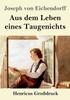 Книга Aus Dem Leben Eines Taugenichts (Grossdruck)