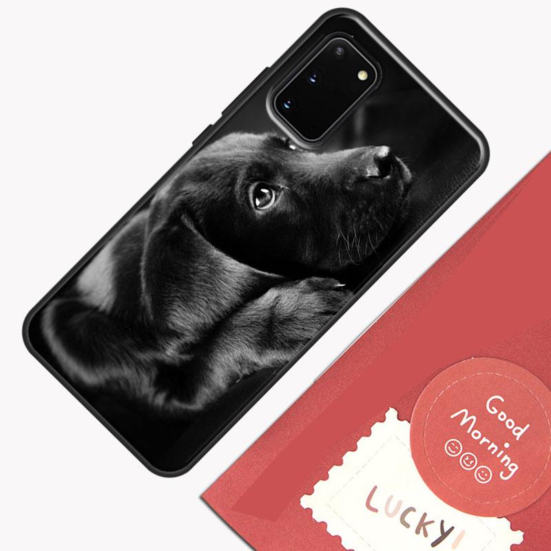 Black labrador retriever Animal Dog Phone Case For Samsung Galaxy S26 S25 S24 S20 S21 S22 S23 Ultra S10 Plus S25 FE Cover Shell