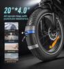 Electric Bicycle LOTDM200-II Folding Electric Bicycle 20 x 4.0-inch Thick Tire Mountain Electric Bicycle with 48V 13Ah Detachable Battery E-bike