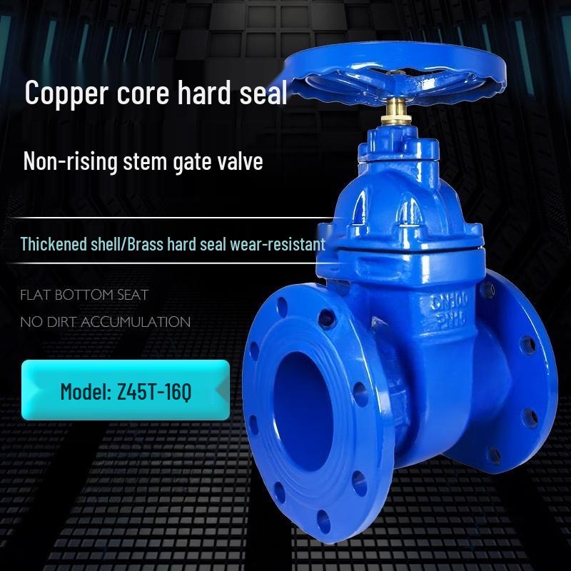 Yunduo DN250 Heavy-Duty Hard Seal Gate Valve