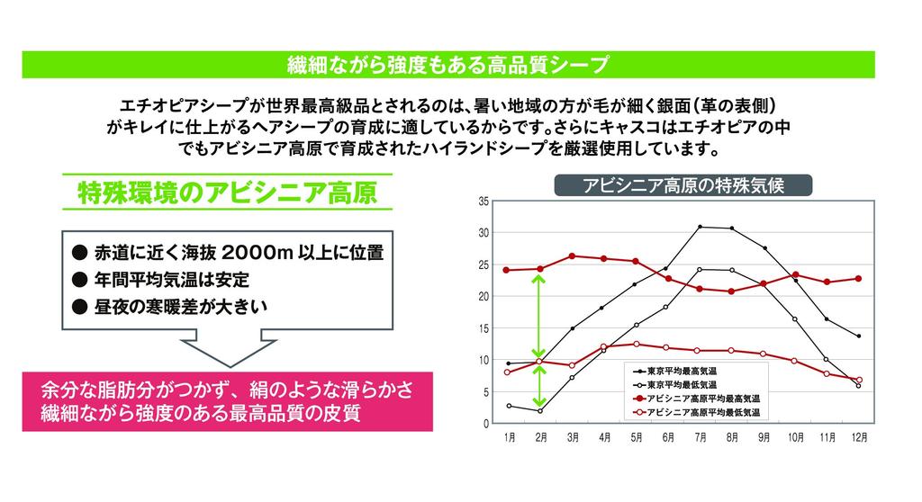 Kasco SILKY FIT Golf Regular 26cm Gloves, Size, Men's, GF-17251, White,