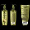 Schwarzkopf Ginger Essence Anti-Dandruff Oil Control Shampoo