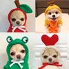 Милый костюм для собак для маленьких собак, зимний костюм для щенка и кошки, толстовка с капюшоном, толстовка с капюшоном для померанского йоркширского шпица, одежда Mascotas, одежда для собак