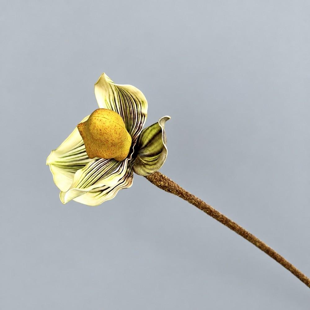 3D Printed Artificial Orchid Flowers Branch Real Touch Fake Vanda Orchid Living Room Ornaments