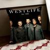 WWestlife The Twenty Tour Cushion Cover Reversible Soft Durable Pillow Cover Home  Car MultiScene Use for Daily Comfort