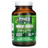 Wheatgrass, Powder Flavor, 100G(3.5Oz)