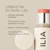 Ilia Multi Stick 0,15 унции