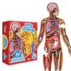 Dr. Livingston Jr. Kids Puzzle (Human Body)