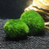 3-4 см шарики из мха Marimo живые аквариумные растения водоросли рыбы креветки аквариум украшение имитация зеленых водорослевых шариков искусственное растение