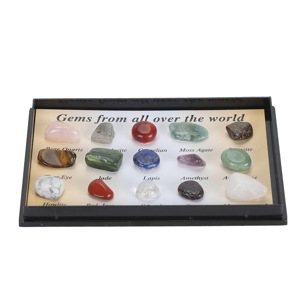 Rock Stone Colletction Kit for Kids Exquisite Science Classroom Rocks and Minerals Collection