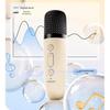 WOPOW AP08 Portable Karaoke Bluetooth Speaker CN plug (adapter included)