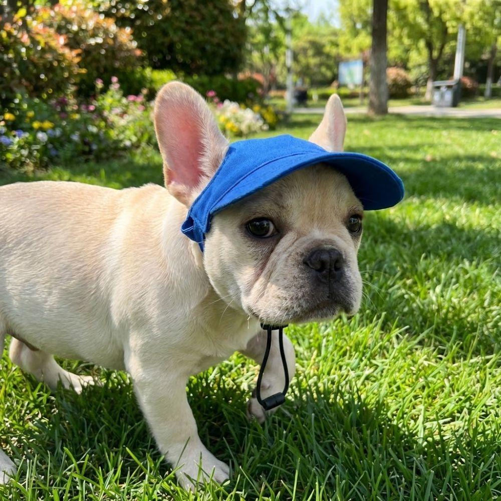 with Ear Holes Dog Baseball Cap Sun Protection Dog Sunscreen Hat Dog Sun Hat Outdoor Sports