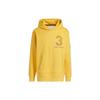 Adidas Толстовка с капюшоном и вышитыми цифровыми буквами Adicross, мужская, желтая, HZ3235