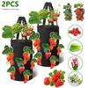 2Pcs Strawberry Grow Bags 3 Gallons Vertical Flower Herb Pouch Reusable Planter with 12 Hole Non Woven Plant Basket Planting Pot