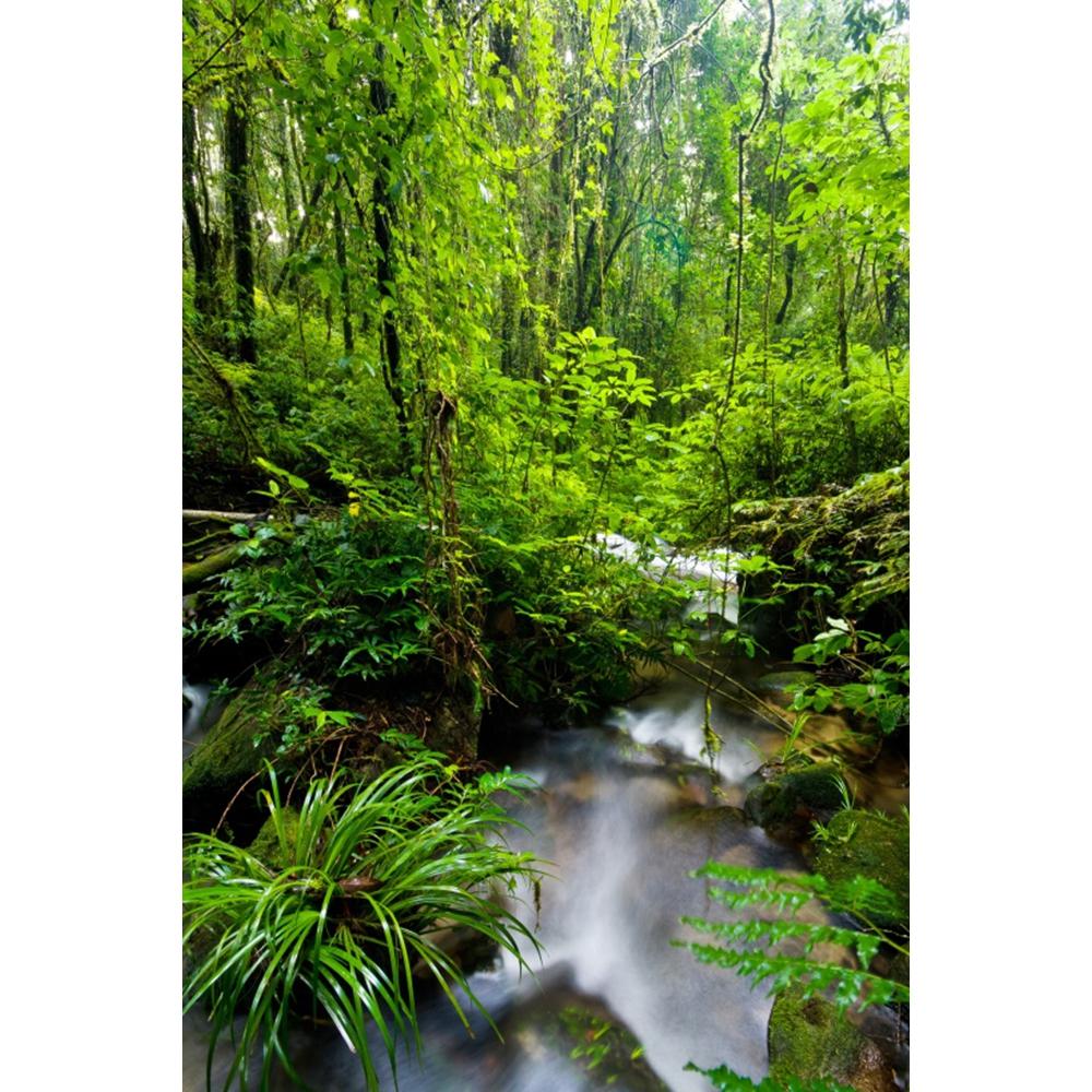 Spring Natural Scenery Forest Photography Backdrop Tropical Jungle Green Forest Tree Adventure Baby Portrait Photo Background