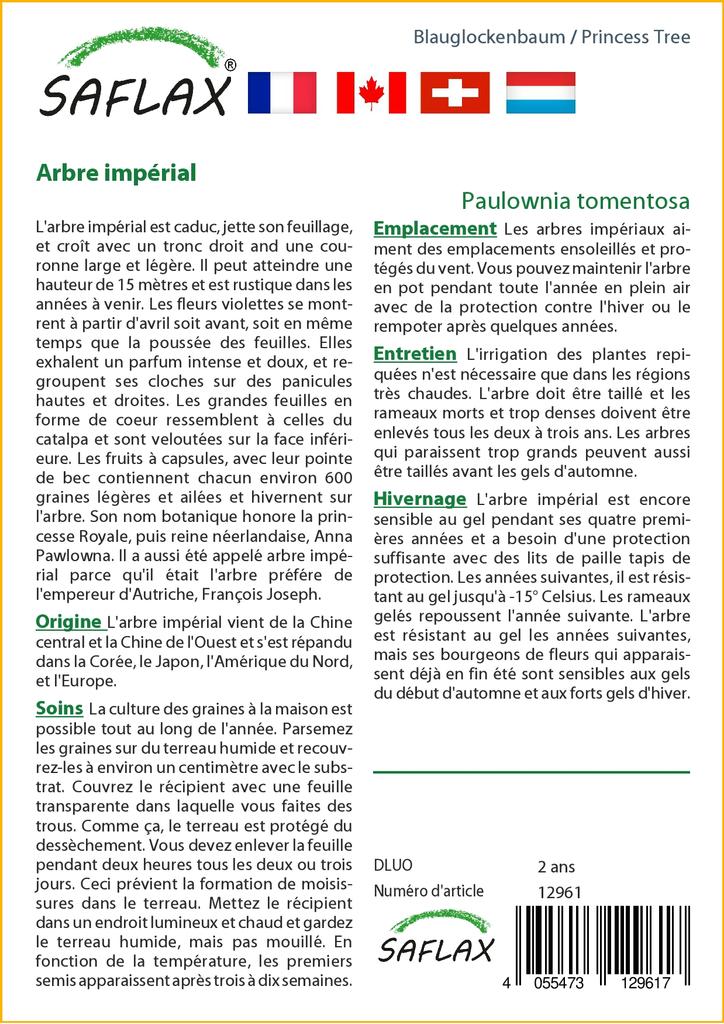 SAFLAX Подарочный набор - Дерево принцессы - 200 семян - С подарочной коробкой, карточкой, этикеткой и субстратом для горшков - Paulownia tomentosa