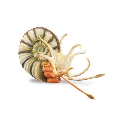 Коллекционная фигурка Pleuroceras Ammonite (Очень большой)