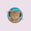 Funny Pet Cat Series Brooches Cute Animal Lapel Pins Cartoon Round Badge on Backpack Accessories Jewelry Gifts for Friends Kids