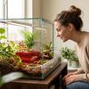 Translucent Reptile Hide Cave Stackable Visible Shelter House Lizard Acrylic Shelter  Pet Breeding