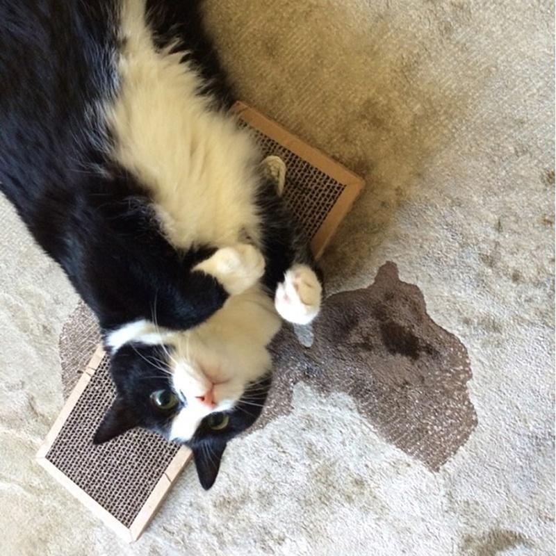 Кошка Котенок Игрушка Когтеточка Игрушка Гофрированный Безопасный Картонный Когтеточка Кровать Кошачья Мята