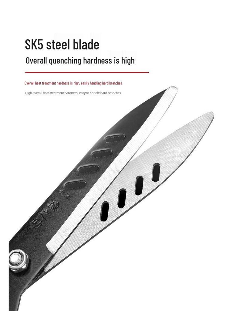 Telescopic Long-Handled Gardening Scissors: High Branch, Hedge & Lawn Trimmer with SK5 Blade