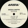 12-дюймовая пластинка ANDREA MARTIN - Share The Love ADP3605 Arista 1999 США Соул/Фанк Б/У