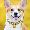 Pet Necklace Crisp Bell Shiny Plastic Cat Dog Golden Chain Necklace Collar Daily Wear