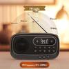 Портативный Bluetooth-радиоприемник и динамик Philips TAR1100 (Китайская версия)