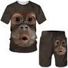 Мужские комплекты футболок, спортивный костюм с 3D принтом орангутанга и тигра, футболки, шорты, комплект из 2 предметов, уличная одежда, мужские костюмы больших размеров, спортивная одежда