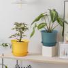 Пластиковые круглые цветочные горшки с поддоном для домашних растений, террасы, сада и т. д. | Упаковка из 05 штук | Разноцветные | Размер 8 дюймов | для дома, для использования в помещении и на улице
