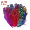 4-7cm Ringneck Pheasant Feathers For Hats Mix Lot Crafts Small Plumas Bulk Colored Decoration Chicken Flower Dreamcatcher 50pcs