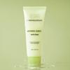 Bring Green Artemisia Calming EX Moisture Cream 100mL