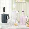 Tiger Electric Kettle