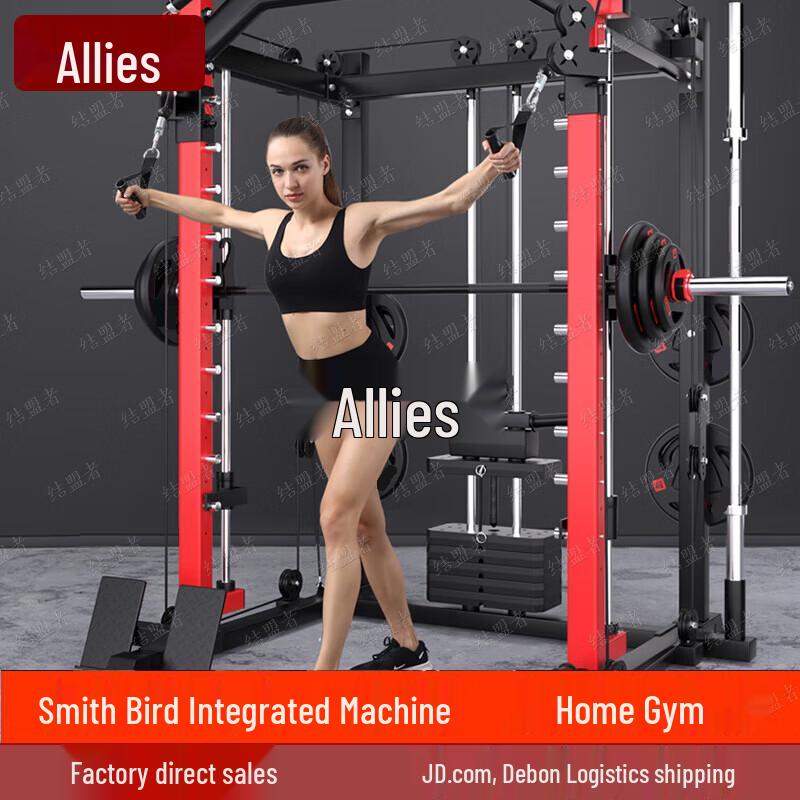 Ally Multi-functional Smith Machine Home Gym