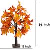 Dazzle Bright 2 шт. 24 дюйма Светящийся Декор для Дня Благодарения и Осени - Клен, 24 светодиода, на батарейках, Искусственное дерево с таймером для помещений
