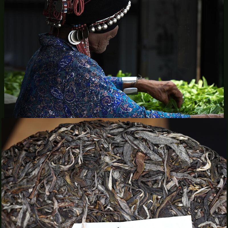 Хайваньский знаменитый чай горной выдержки из сырого дерева Пуэр Па Ша Гу Шу Шэн Пуэр 500 г