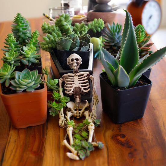 Хэллоуин Кашпо Гроб Готический Цветочный Горшок из Смолы Гроб Цветочный Горшок